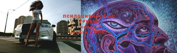 jwh Дмитровск