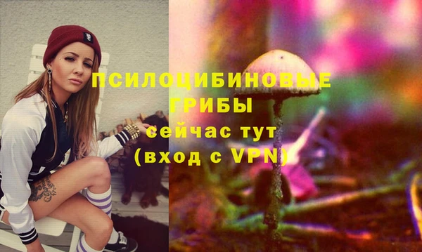 jwh Дмитровск