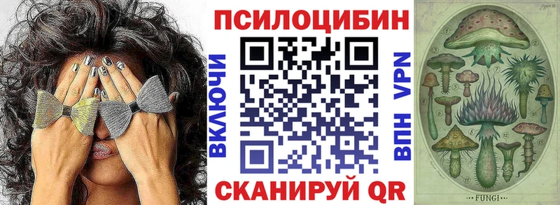 Купить  Красный Кут  Псилоцибиновые грибы ЛСД 
